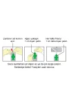 frostedpine3.webp
