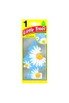 Little Trees Daisy Chain Papatya Aromalı Asma Oto Kokusu